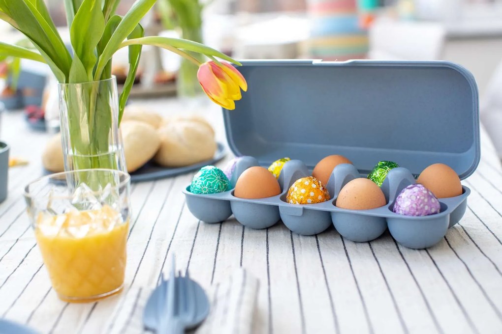 Pojemnik na jajka EGGS TO GO, na 10 jajek, KOZIOL