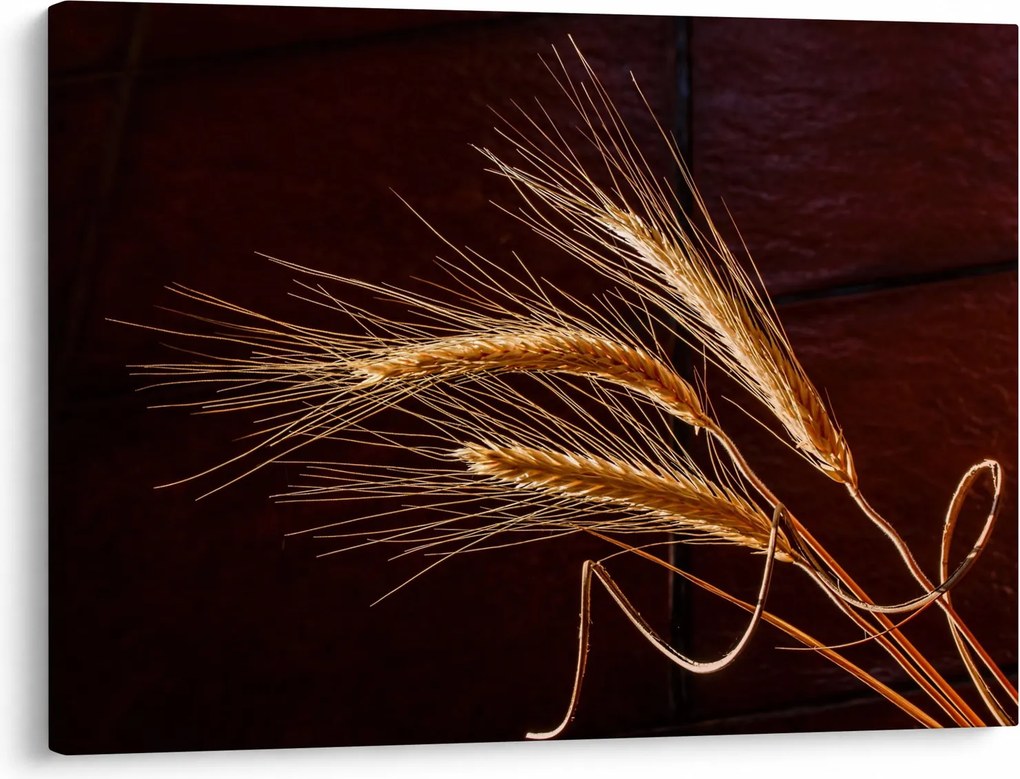 Obraz - Fragment kłosa żyta (70x50 cm)