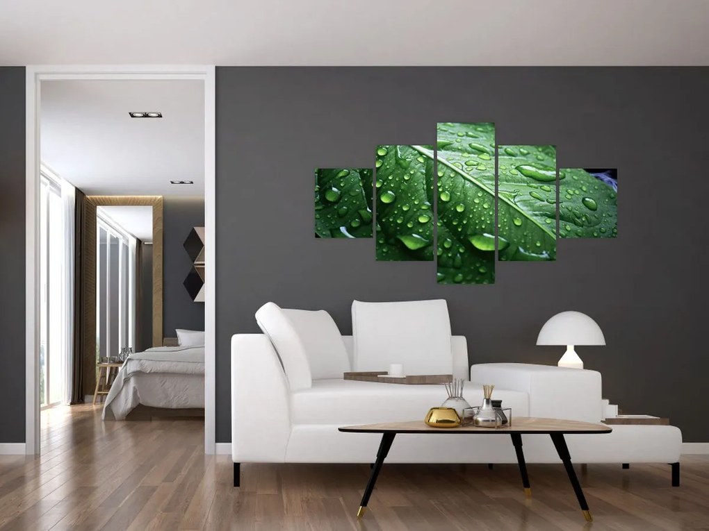 Obraz - Szczegół liścia po deszczu (125x70 cm)