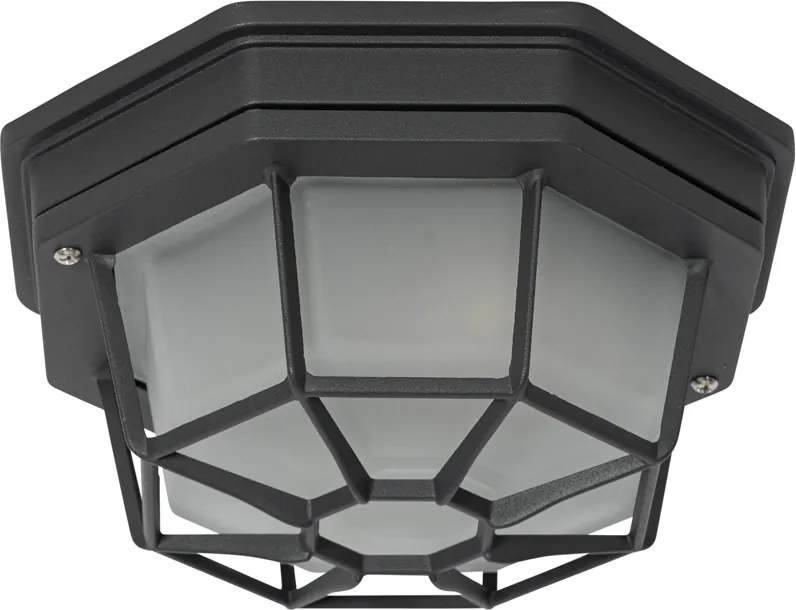 Lampa sufitowa rustykalna ciemnoszara 21,3 cm IP44 - Bri