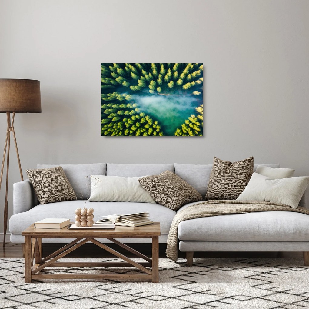 Obraz na szkle - Las spowity mgłą (70x50 cm)