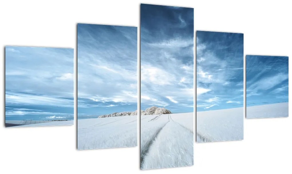 Obraz pola (125x70 cm)