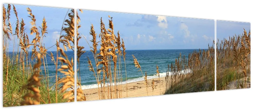 Obraz - Plaża (170x50 cm)