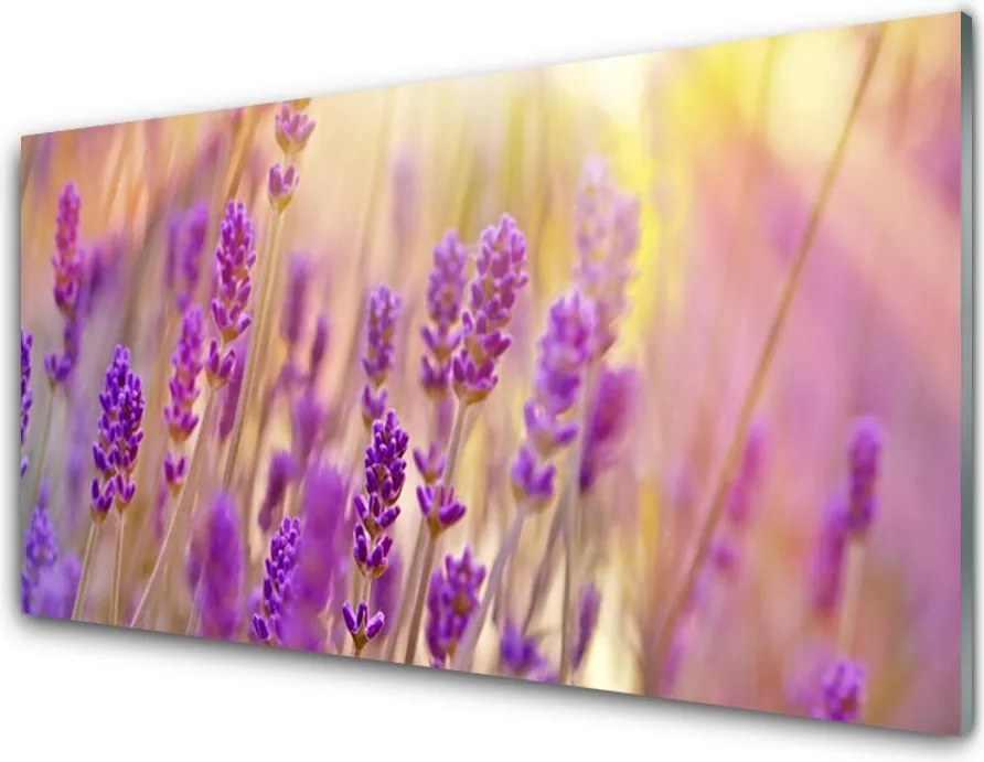 Dekor Szklany do Kuchni Pełnia Letniego Rozkwitu