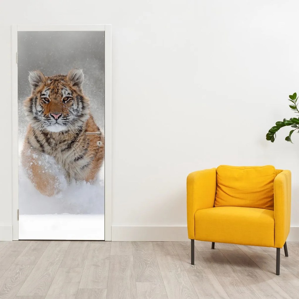 Fototapeta na drzwi - Biegnący tygrys po śniegu (95x205cm)