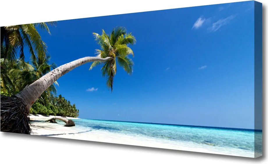 Obraz canvas Rajskie Wybrzeże pod Palmami