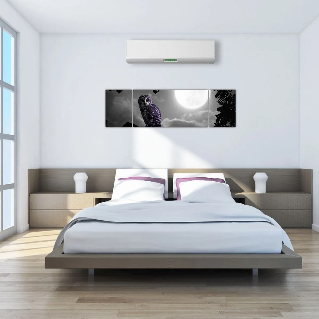 Obraz - Nocna sowa, fioletowa sowa (170x50 cm)