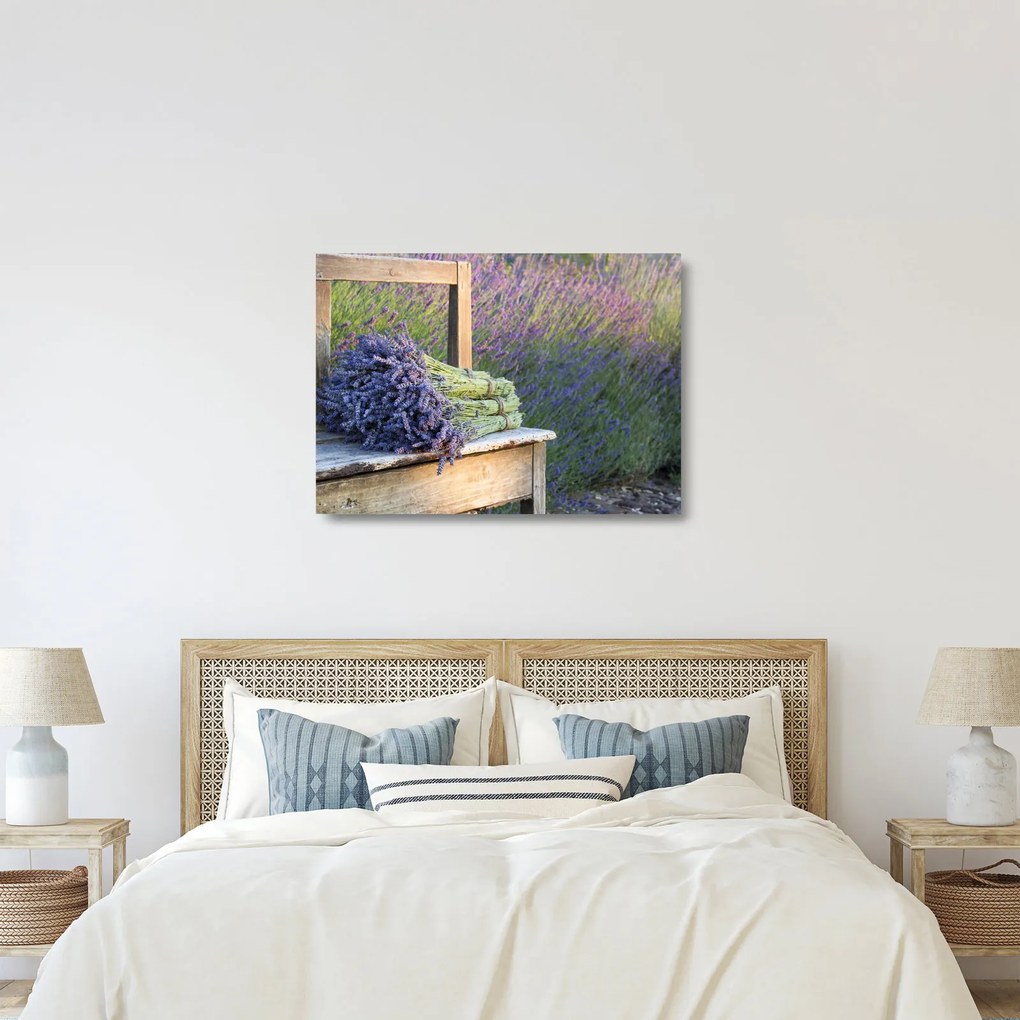 Obraz na szkle - Pęczki lawendy (70x50 cm)