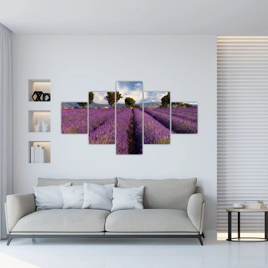 Obraz - Pole lawendy i góry (125x70 cm)