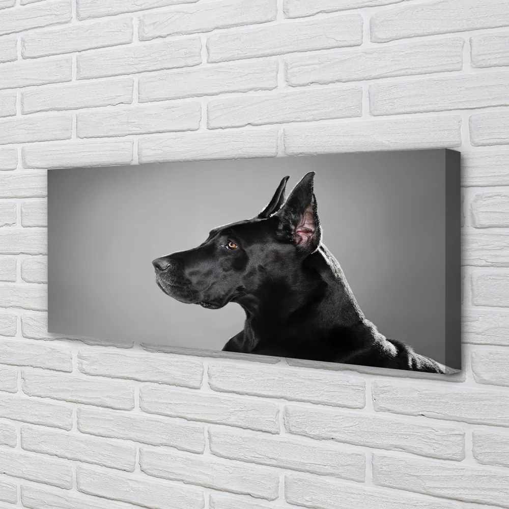 Duży obraz na płótnie Czarny Pies