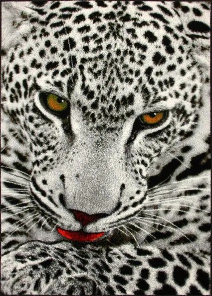 Dywan Koloreo Dzikie Cętki 160x230 Prostokąt