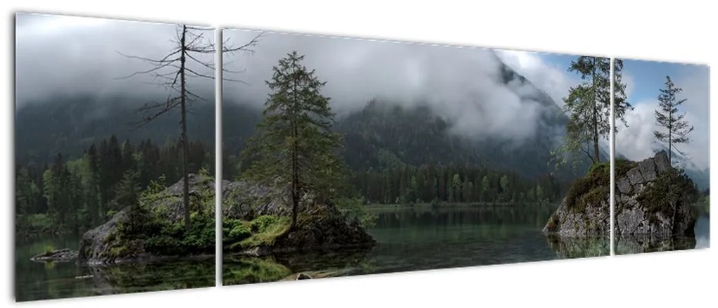 Obraz drzew w jeziorze (170x50 cm)