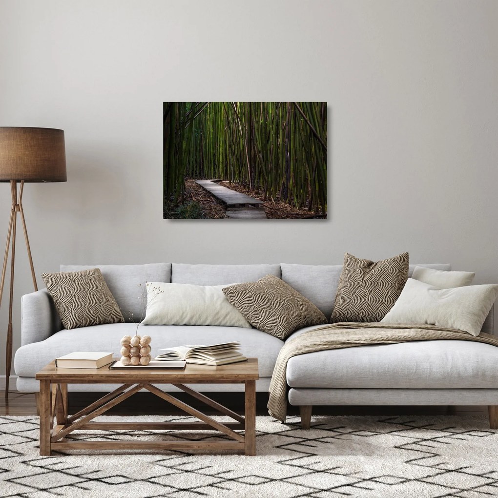 Obraz na szkle - Wśród bambusów (70x50 cm)