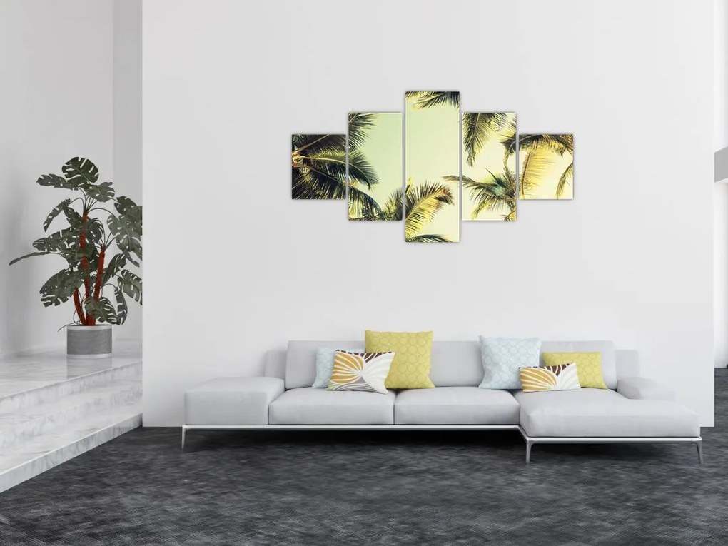 Obraz z palmami kokosowymi (125x70 cm)