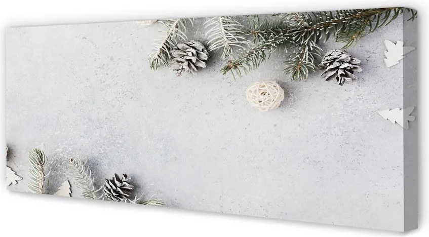 Obraz na płótnie Gałązki i Szyszki