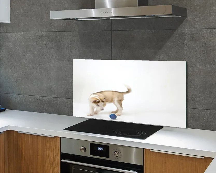 Panel szklany do Kuchni Radosna Zabawa Psa