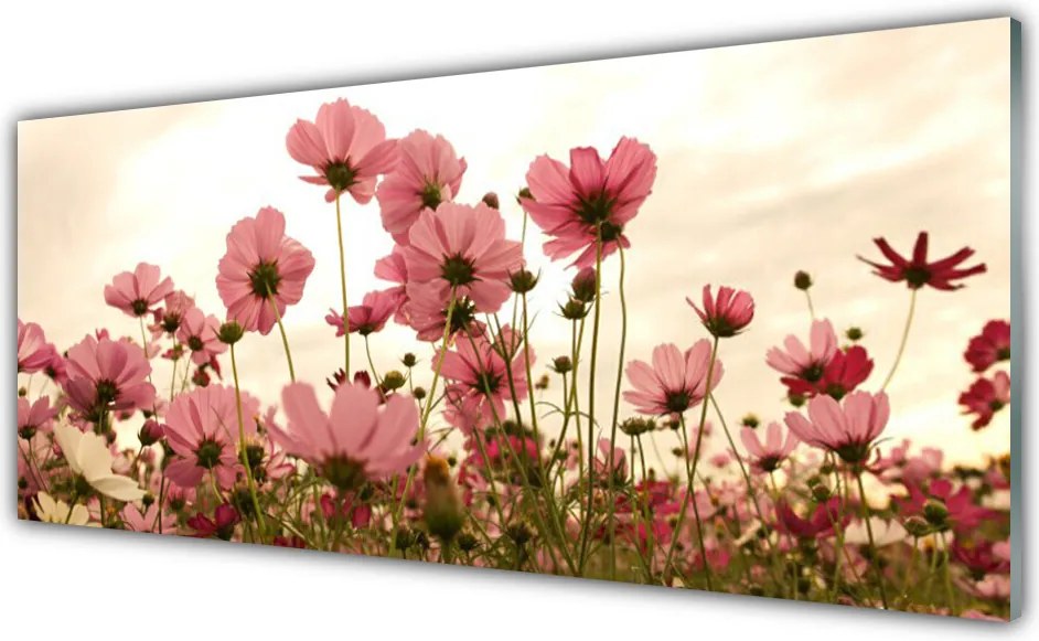 Szkło do Kuchni na Ścianę Sielska Łąka Kwiatowa