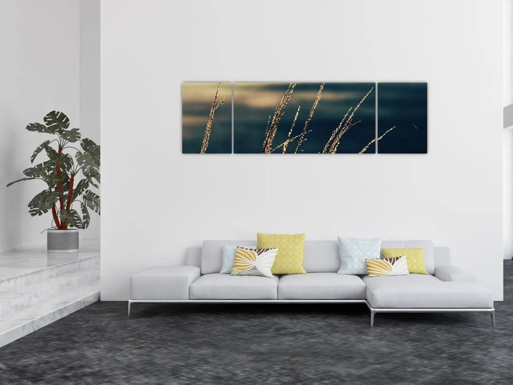 Obraz traw (170x50 cm)