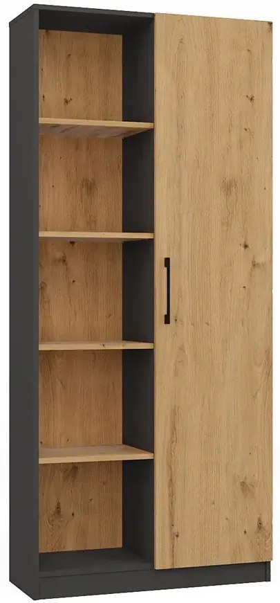 Regał Z Półkami Do Salonu Dąb Artisan + Antracyt C2-C51