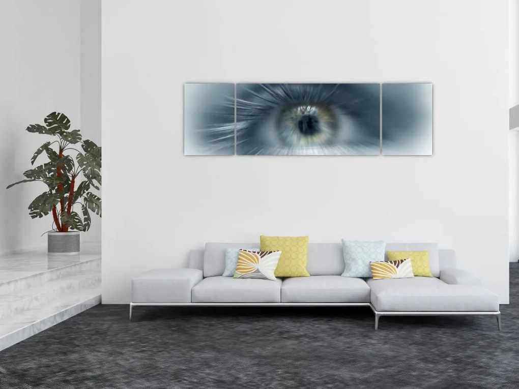 Obraz - Widok oka (170x50 cm)