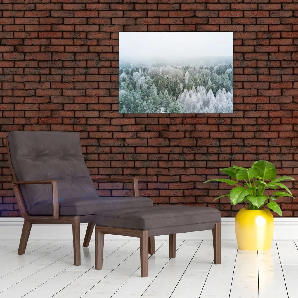 Obraz - Ośnieżone szczyty lasów (70x50 cm)