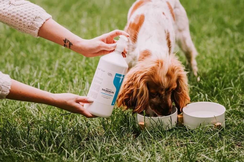 Olej z łososia dla psa i kota Irodori Vet 1000ml