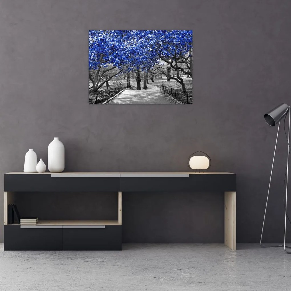 Obraz - Niebieskie drzewa, Central Park, New York (70x50 cm)