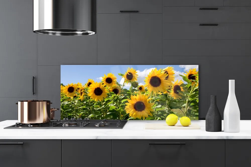 Panel Szklany Złoty Słonecznik w Słońcu