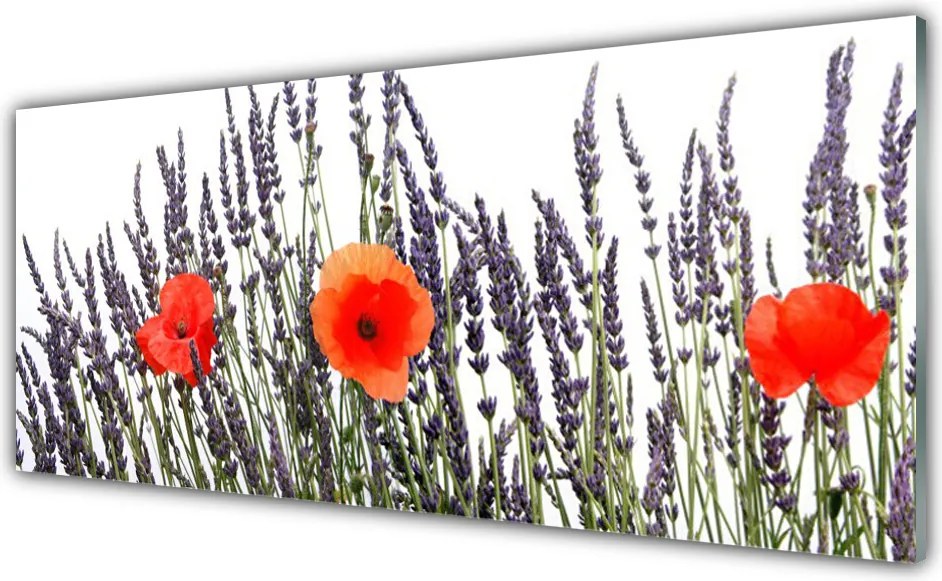 Szkło do Kuchni na Ścianę Maki Tańczące na Wietrze