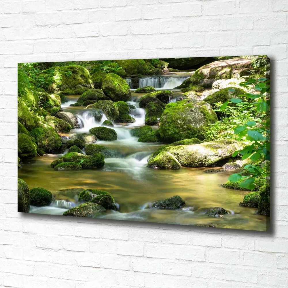 Foto obraz canvas Wodospad