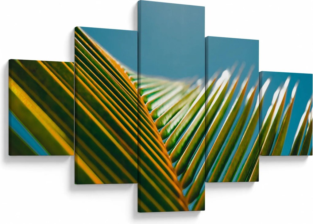 Obraz - Detal liścia palmowego (125x70 cm)