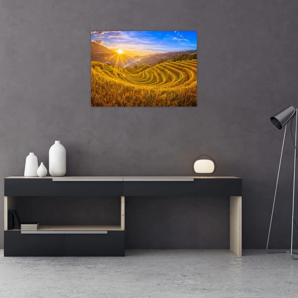 Obraz na szkle - Pole ryżowe w Wietnamie (70x50 cm)