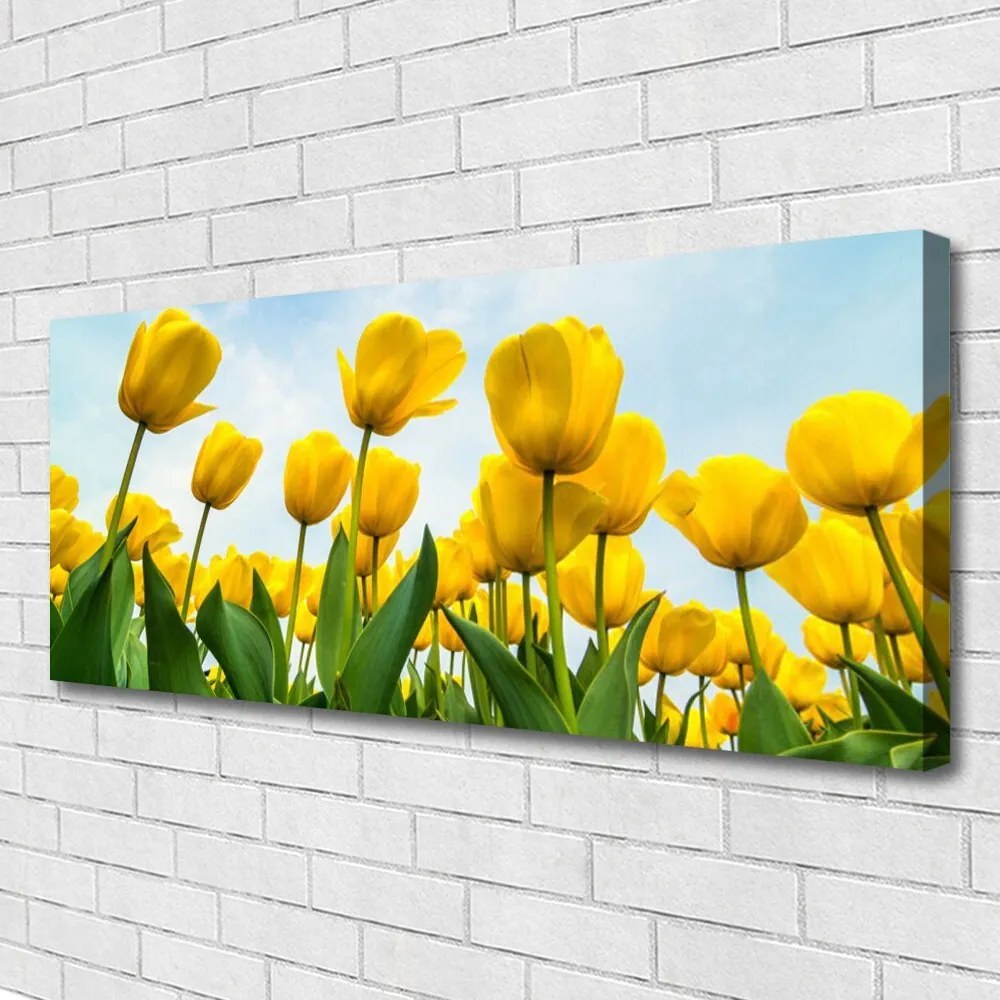 Obraz canvas Pole Tęczowych Tulipanów