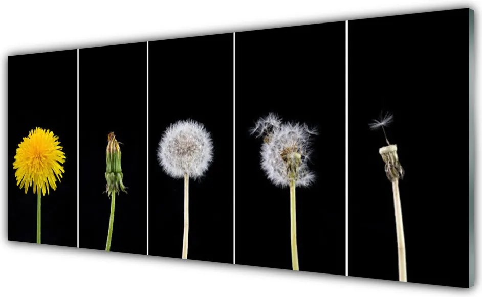 Panel Kuchenny Lekkość Lata: Dmuchawiec