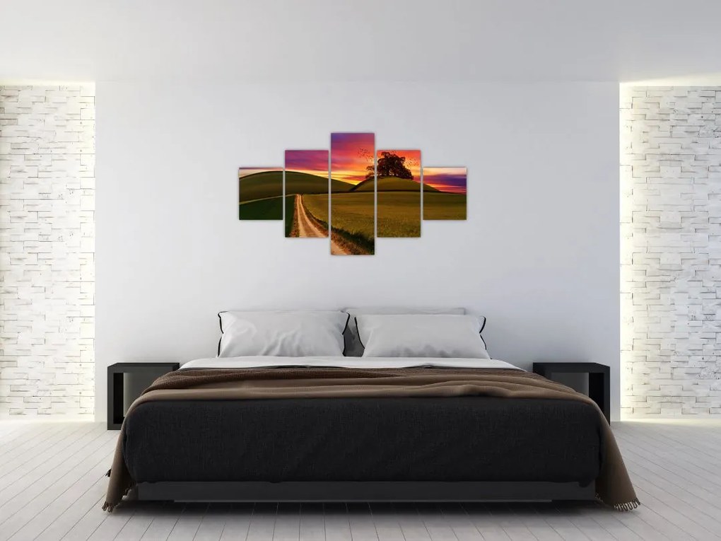 Obraz pola z zachodem słońca (125x70 cm)