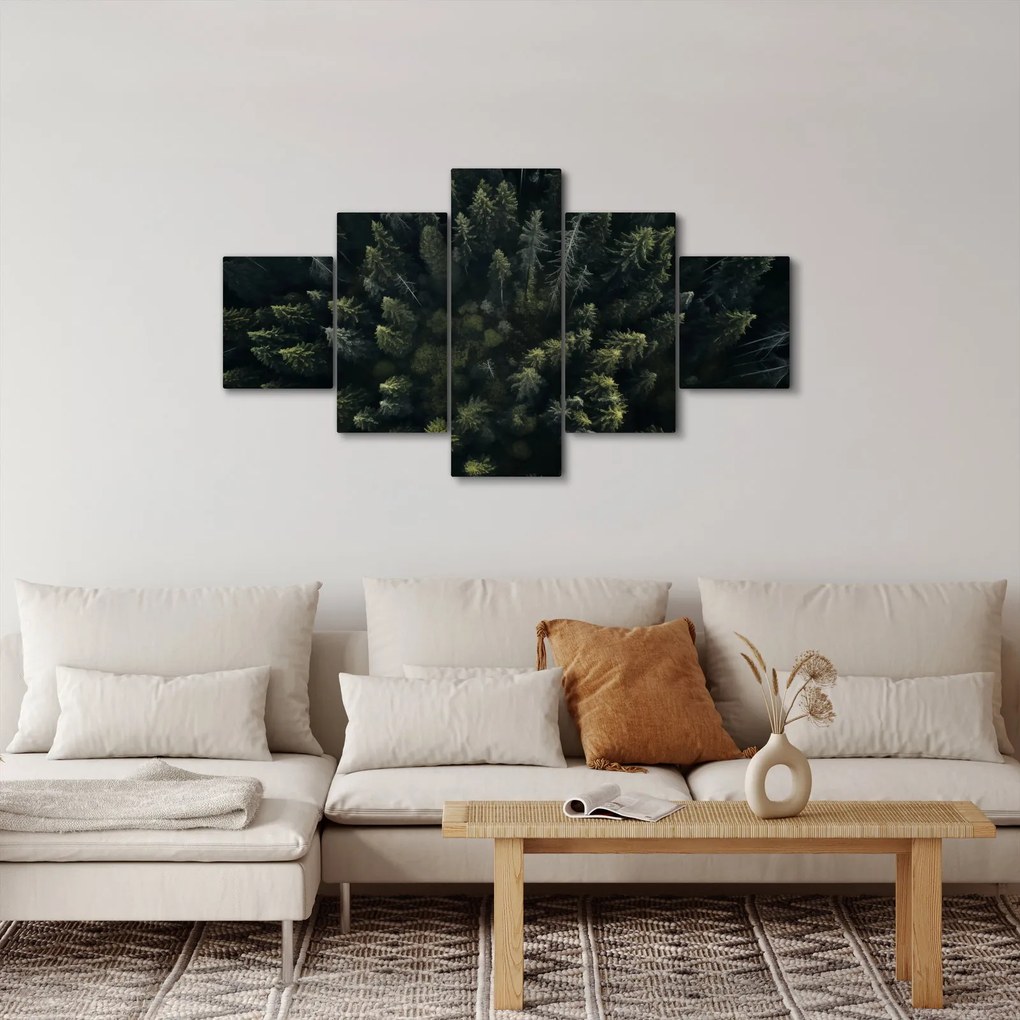 Obraz - Las (125x70 cm)