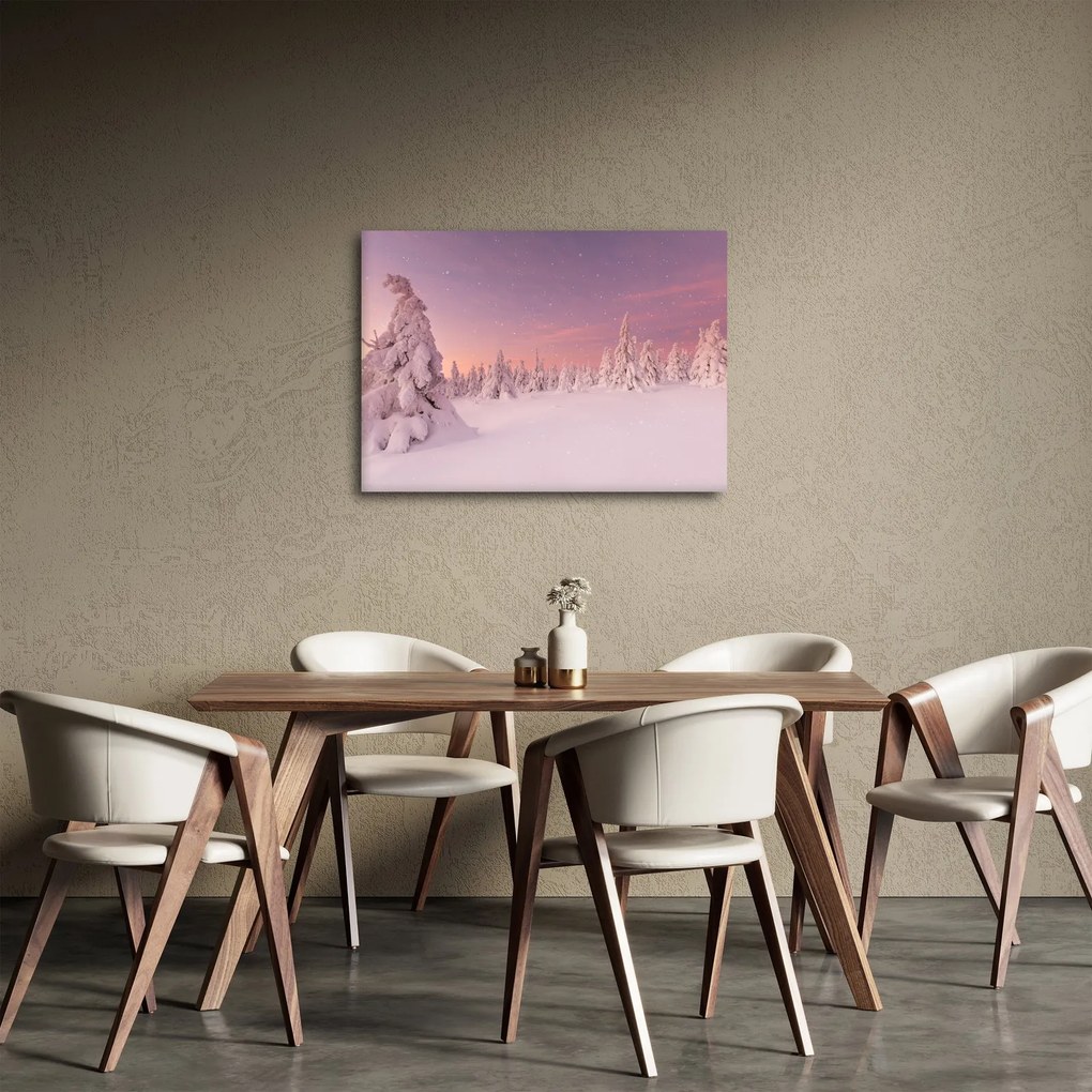 Obraz - Drzewa pod warstwą śniegu (70x50 cm)