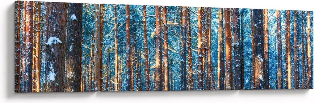 Obraz - Zimowy las (170x50 cm)