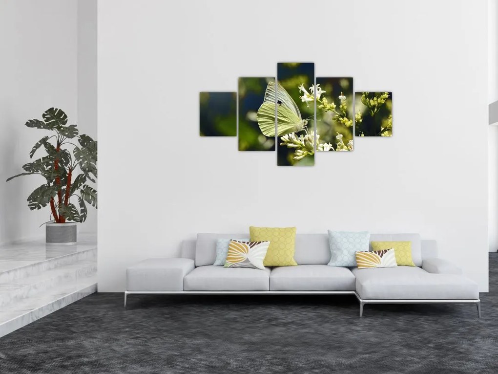 Obraz motyla (125x70 cm)