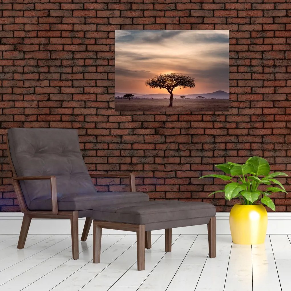 Obraz na szkle zachodu słońca w Tanzanii (70x50 cm)