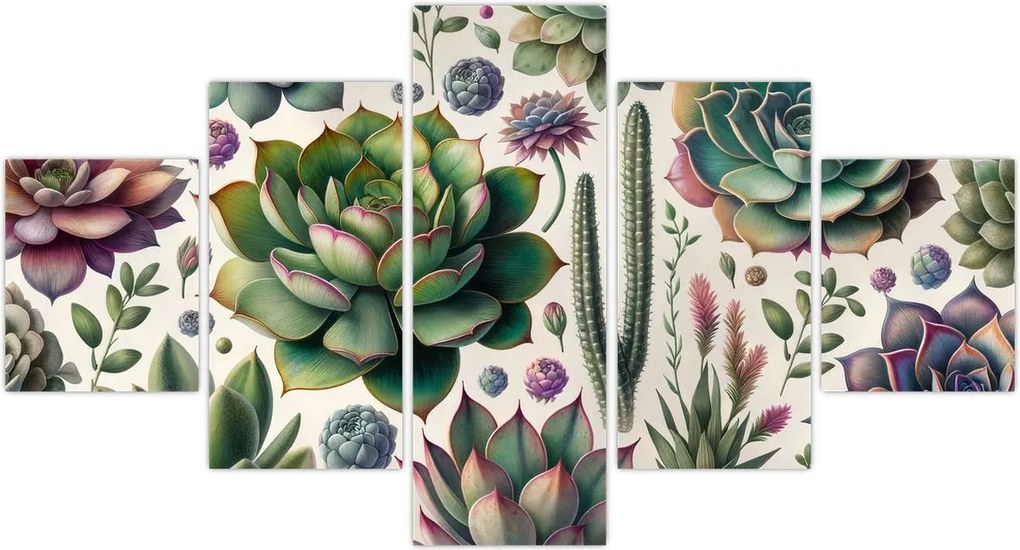 Obraz - Sukulenty (125x70 cm)