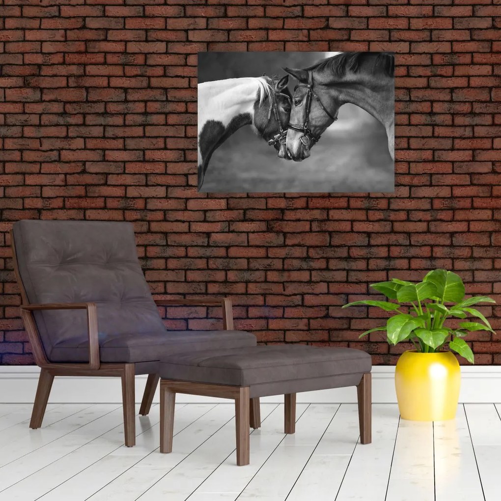 Obraz - Zakochane konie, czarno - biały (70x50 cm)