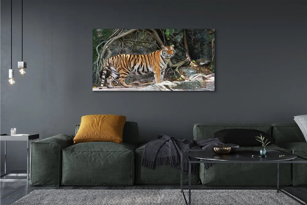 Obraz canvas na ścianę Tygrys w Dżungli