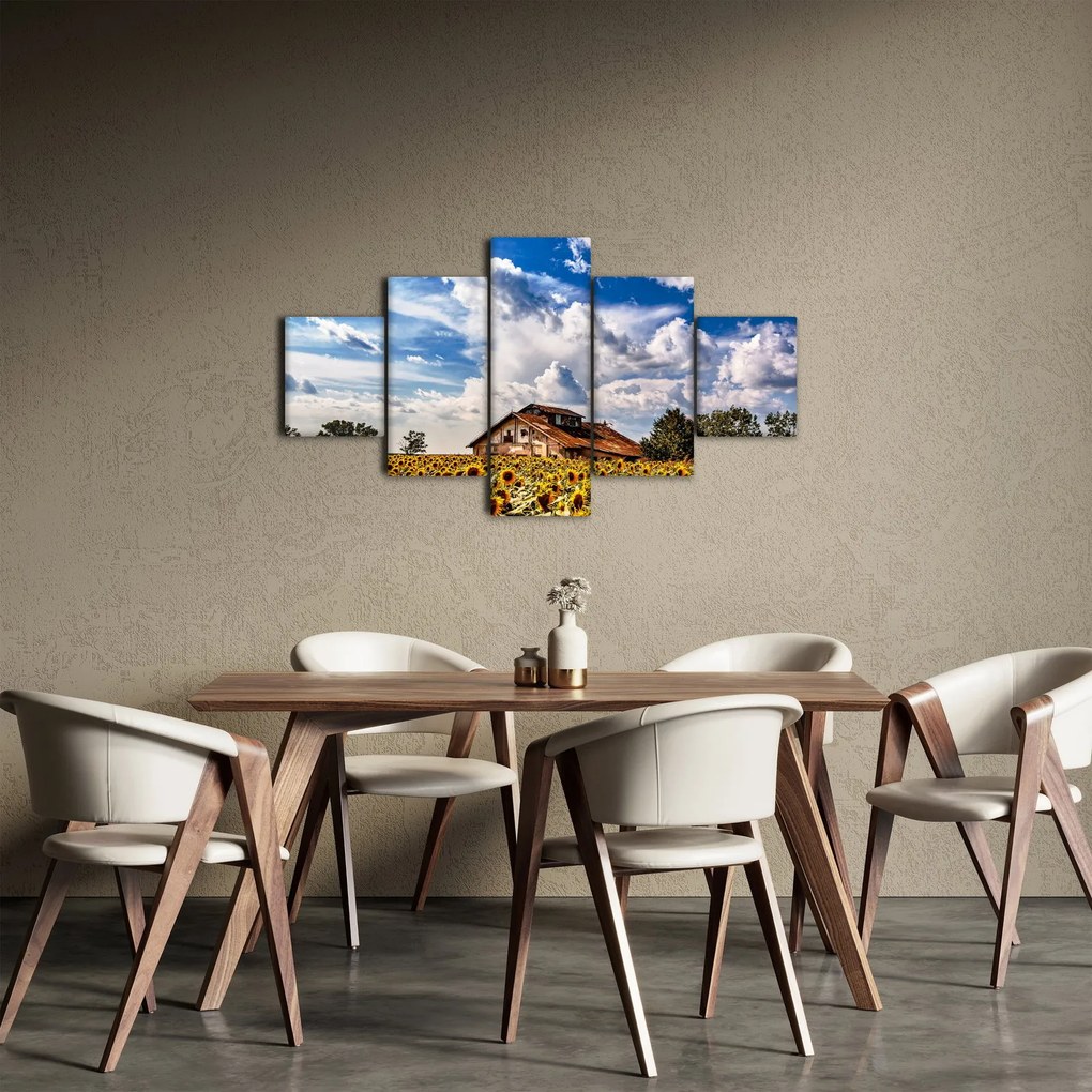 Obraz pola słoneczników (125x70 cm)
