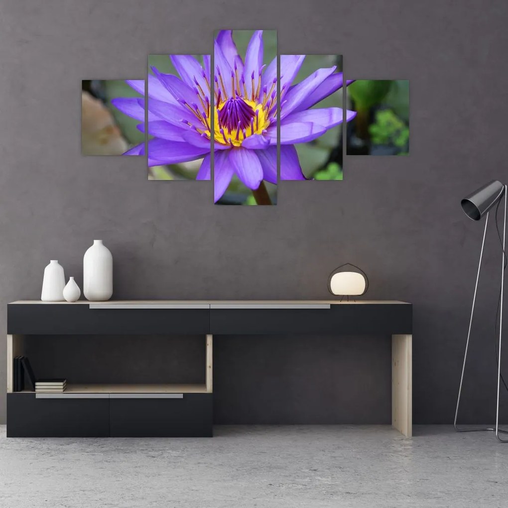 Obraz - Fioletowy kwiat (125x70 cm)