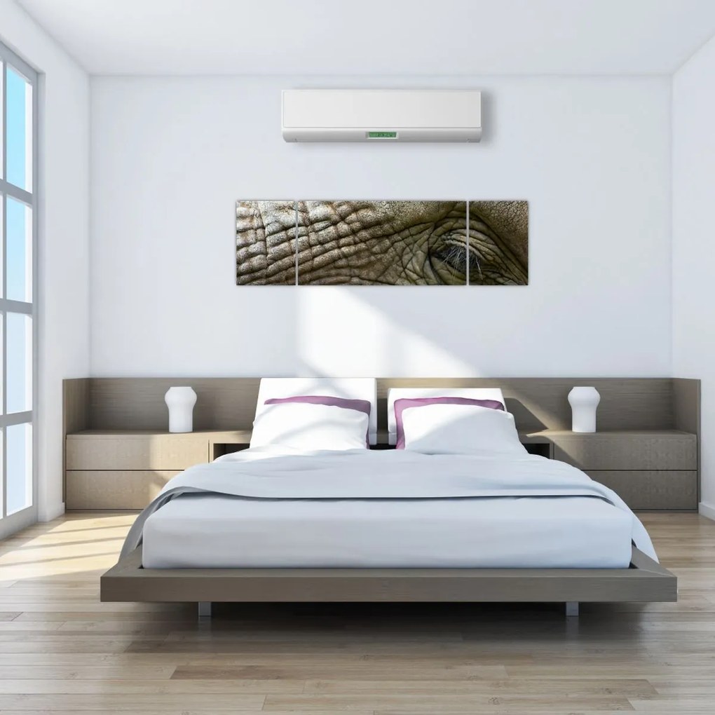 Obraz - Zbliżenie na stare oko słonia (170x50 cm)