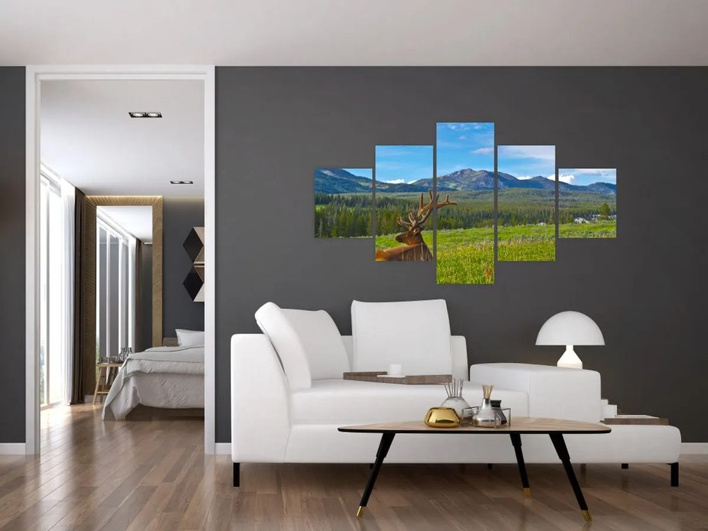 Obraz - Jeleń na łące (125x70 cm)