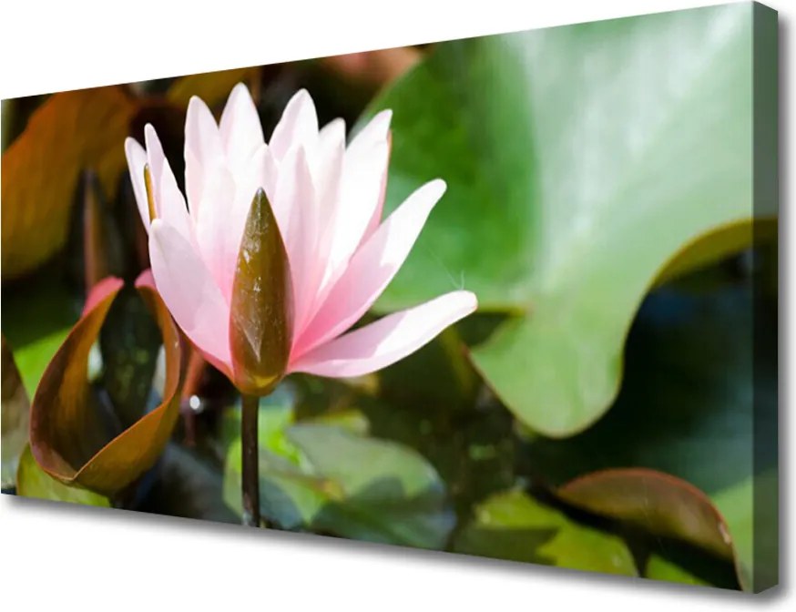 Obraz canvas Subtelny Pąk Kwiatowy