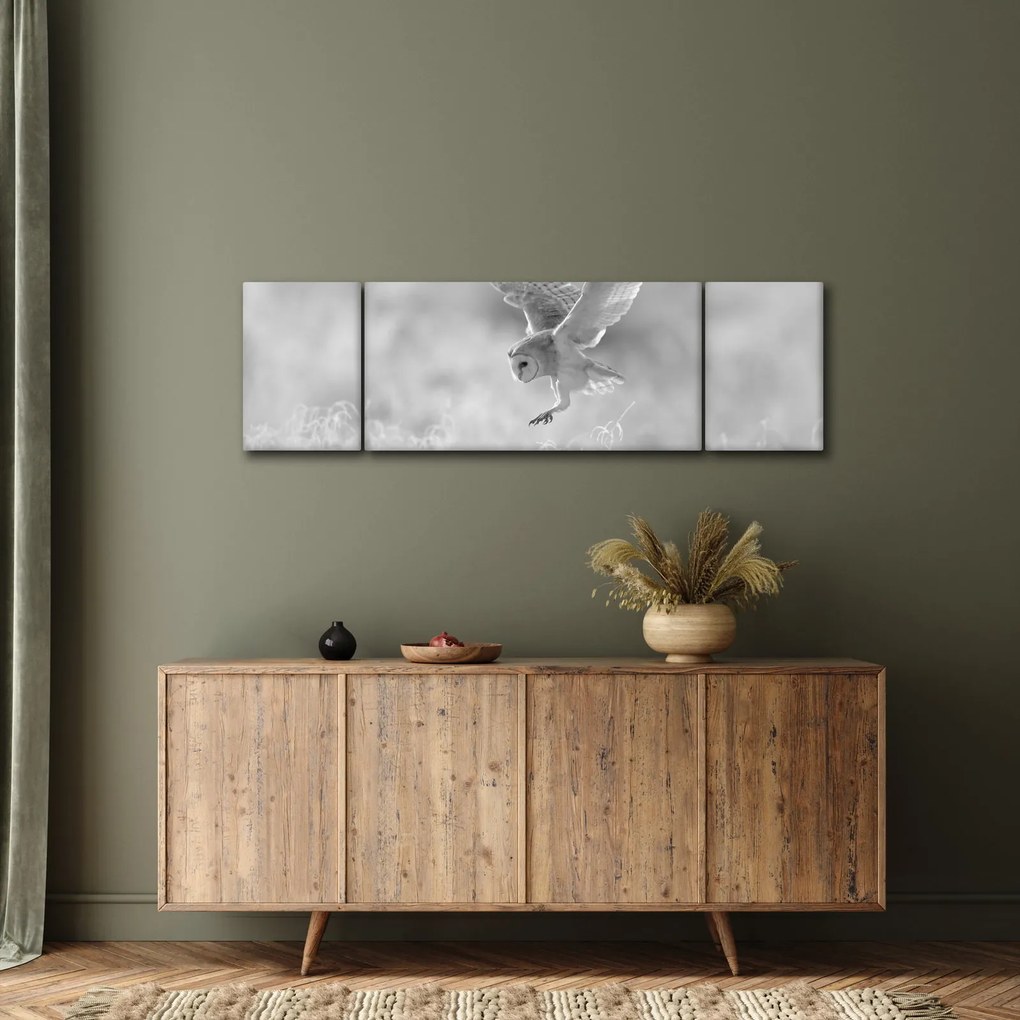 Obraz - Sowa na polu (170x50 cm)