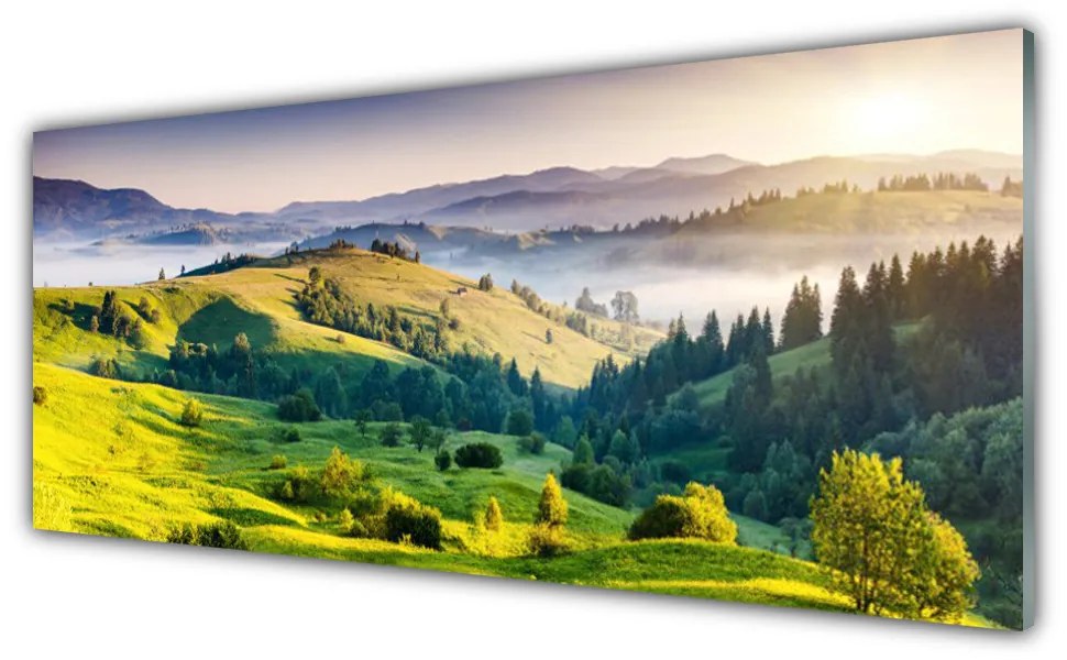 Obraz Akrylowy Góra Pole Mgła Natura